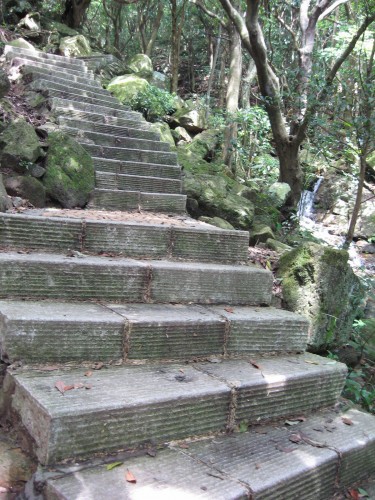 梧桐山 登山道 1