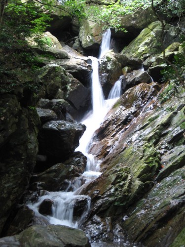 梧桐山 泰山涧 1